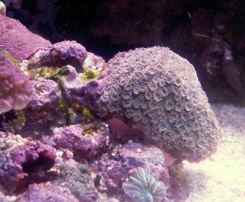 20121128_105259.jpg