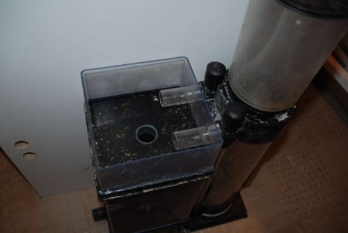 DSC_5980.JPG