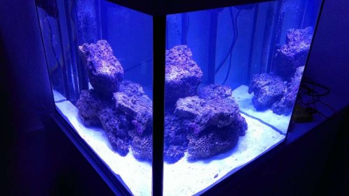 IMAG0702.jpg