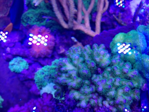 IMG_0011.jpg