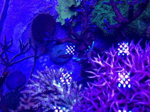 IMG_0016.jpg