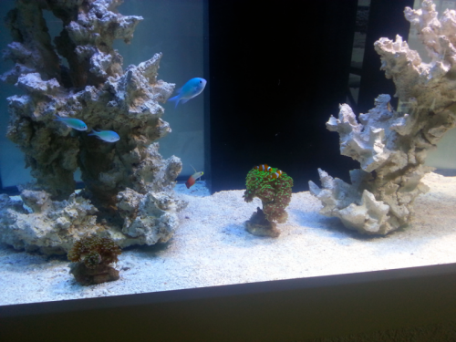 IMG_20121202_123106.png