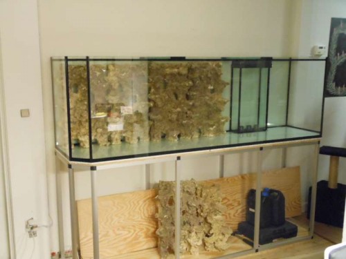 DSCN1325.JPG