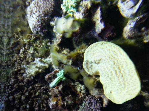20121211_110821.jpg