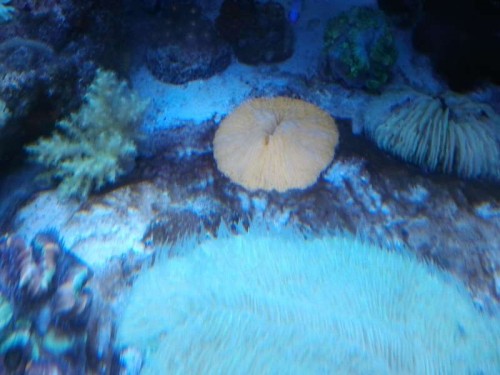 2012-12-10 19.23.30.jpg