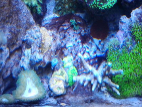 2012-12-10 19.23.10.jpg