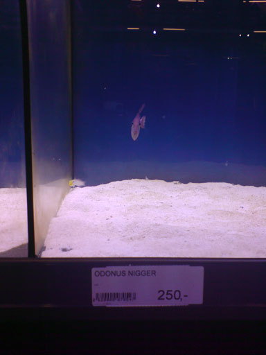 odonus - uheldig stavemåde