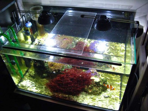 Nu med 2 Eheim Aqualight. JPG.JPG