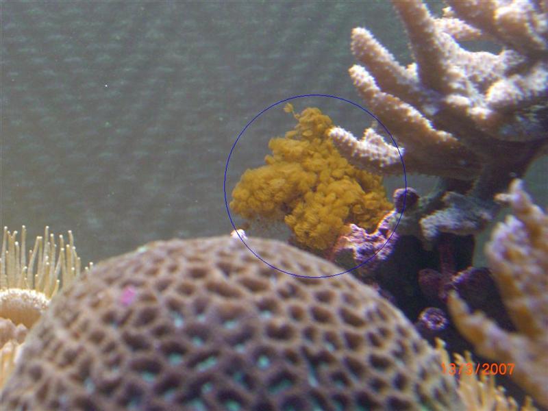 CIMG0878 (Large) (Medium).JPG