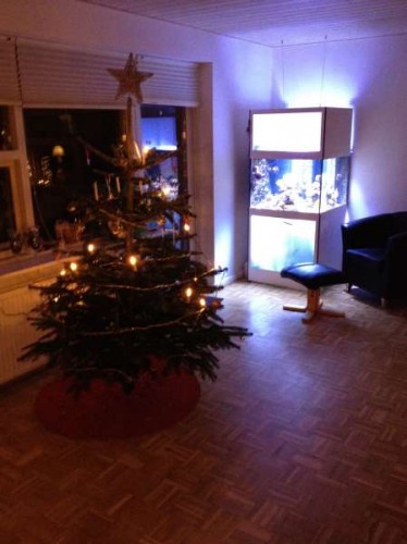 december 2012 033.JPG