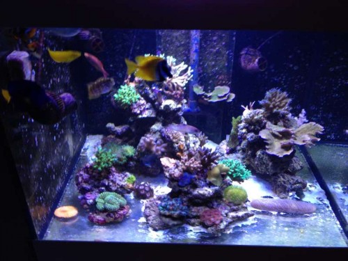 december 2012 034.JPG