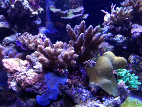 december 2012 035.JPG