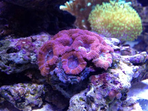 december 2012 036.JPG