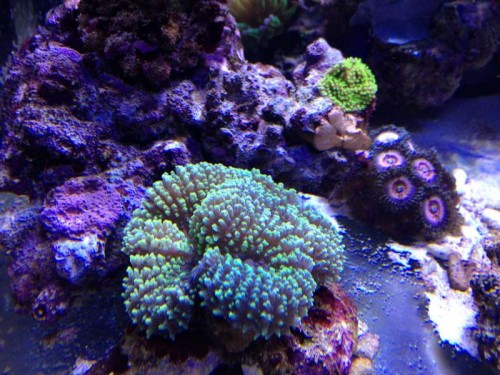 december 2012 037.JPG
