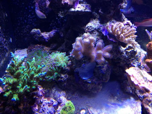 december 2012 039.JPG