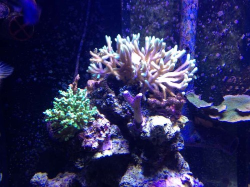 december 2012 040.JPG