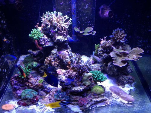 december 2012 027.JPG