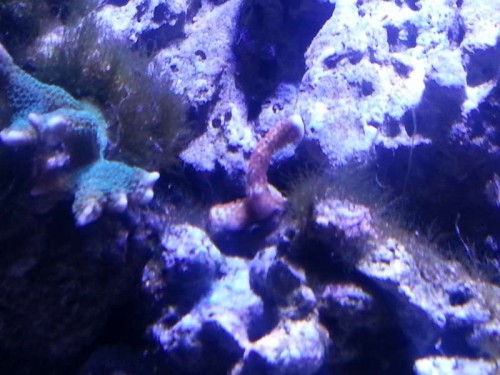 20121225_180455.jpg