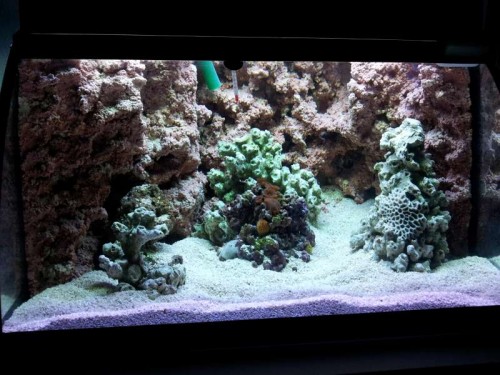 FTS.jpg