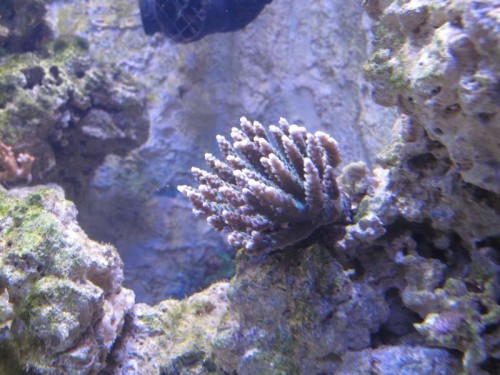 IMG_0943.JPG