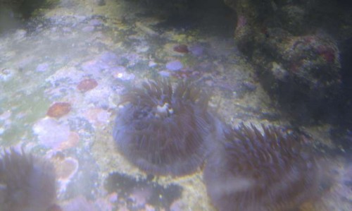 IMAG0747.jpg