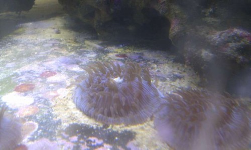 IMAG0748.jpg