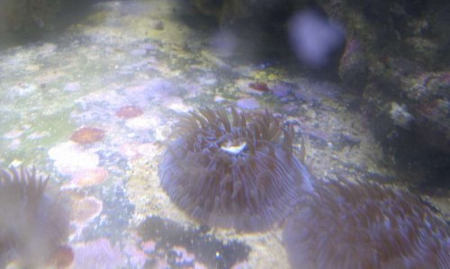 IMAG0749.jpg