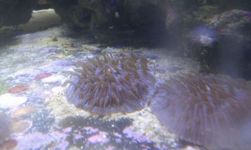 IMAG0751.jpg