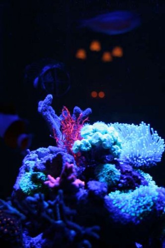 IMG_6201.JPG
