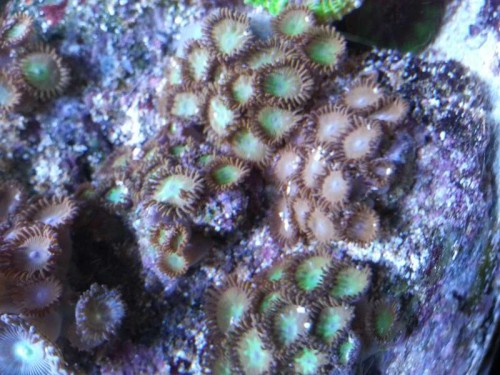 20130106_171052.jpg