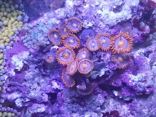 20130106_173658.jpg