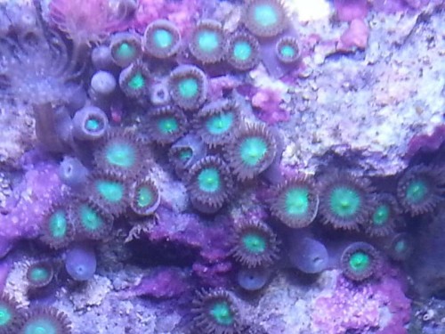 20130106_173719.jpg