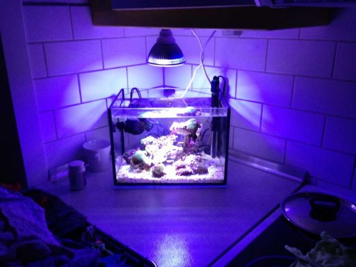 akvarie 22 liter uden for.JPG