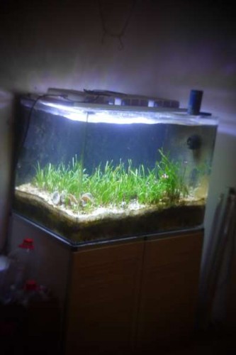 fts.jpg