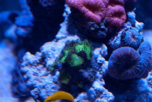 DSC07116.jpg