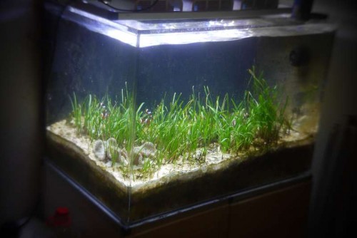 fts1.jpg
