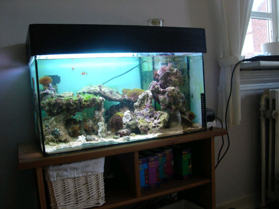 Akvariet2.JPG