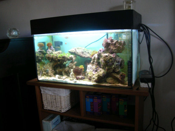 Akvariet1.JPG