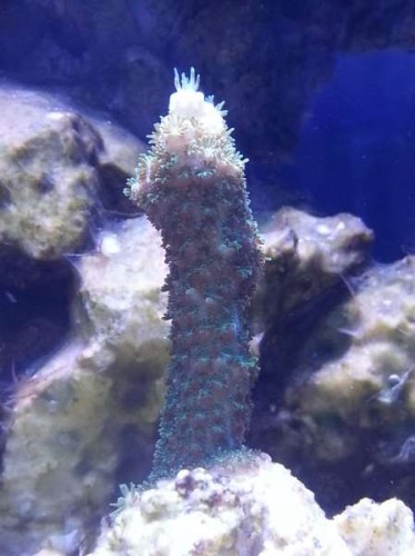 20130115_213500.jpg