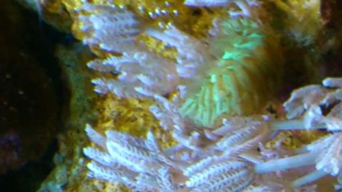 DSC_0010.JPG