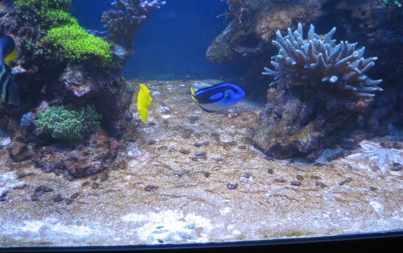 IMG_3415 (Medium).JPG