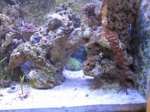 IMG_0975.JPG