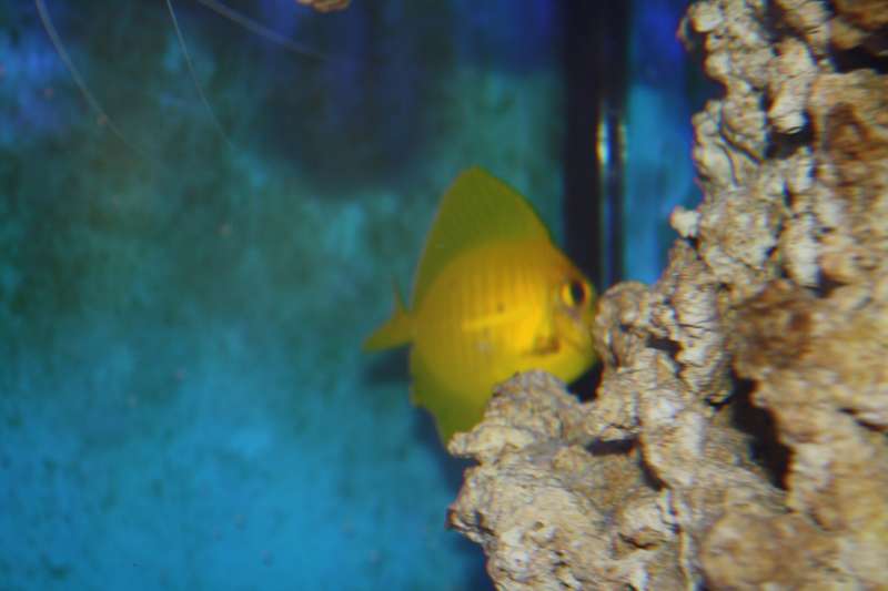 IMG_1579.JPG
