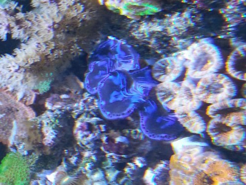 20130125_151113.jpg
