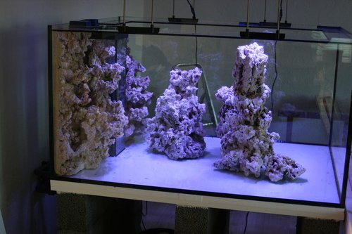 IMG_5790.JPG
