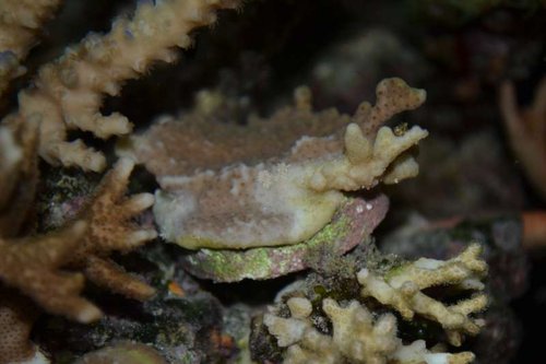 DSC_0125.JPG