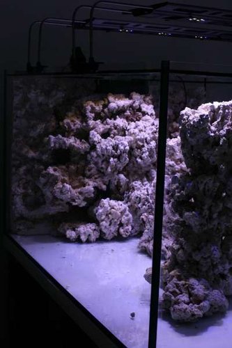 IMG_5805.JPG