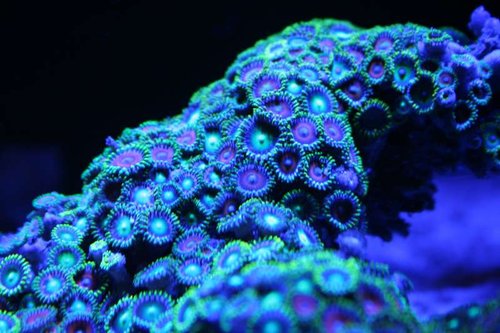 IMG_6237.JPG