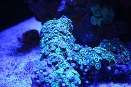 IMG_6248.JPG