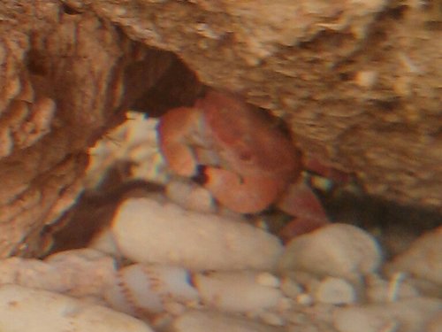 2013-01-30 12.12.40-1.JPG